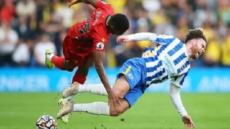 Nhận định kèo Watford vs Brighton, 22h00 ngày 12/2