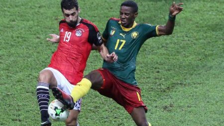 Soi kèo chẵn/ lẻ Cameroon vs Ai Cập, 2h ngày 4/2