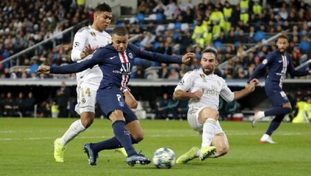 Tiên tri mèo dự đoán PSG vs Real Madrid, 3h ngày 16/2