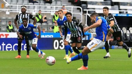 Biến động tỷ lệ kèo Newcastle vs Brighton, 22h ngày 5/3