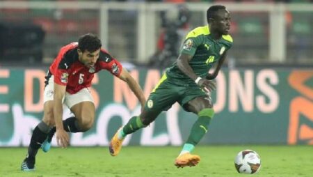 Biến động tỷ lệ kèo Senegal vs Ai Cập, 0h ngày 30/3