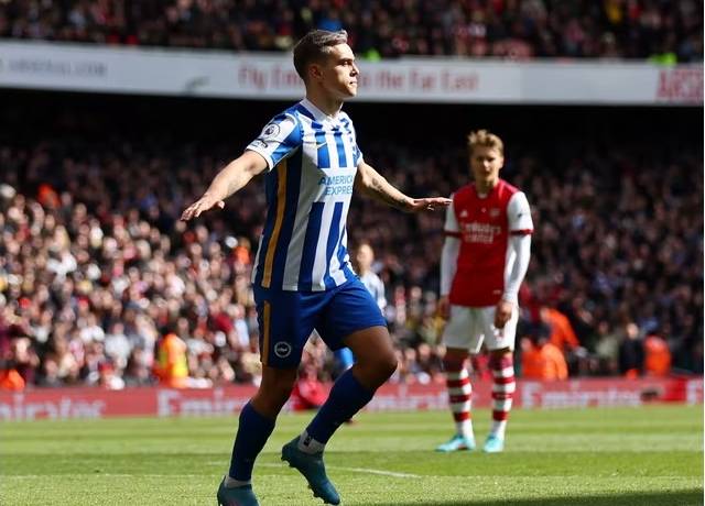 Đội hình ra sân chính thức Brighton vs Southampton, 20h ngày 24/4