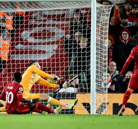 Dự đoán, soi kèo thẻ vàng Newcastle vs Liverpool, 18h30 ngày 30/4