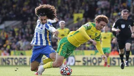 Nhận định kèo Brighton vs Norwich, 21h00 ngày 02/04