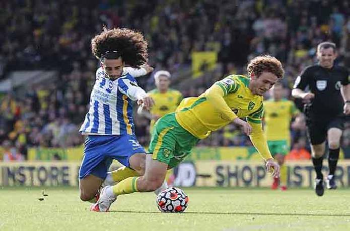 Nhận định kèo Brighton vs Norwich, 21h00 ngày 02/04