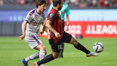 Nhận định kèo Consadole Sapporo vs Shonan Bellmare, 11h05 ngày 29/4