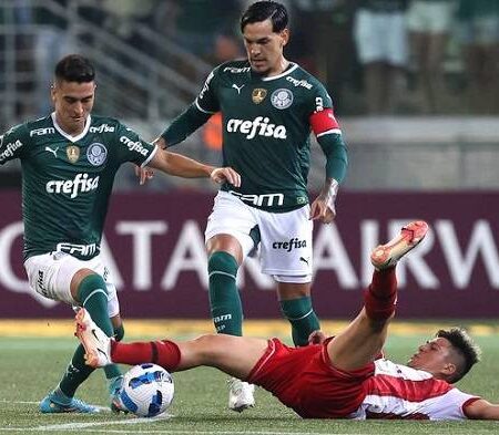 Nhận định kèo Emelec vs Palmeiras, 7h00 ngày 28/4