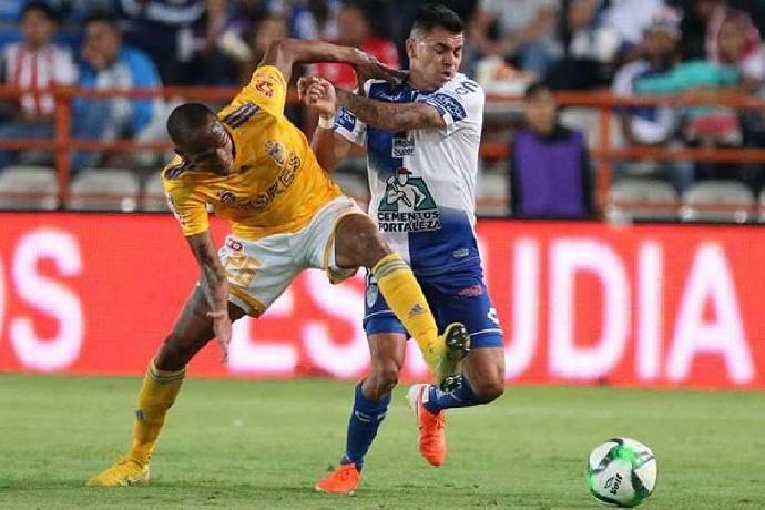 Nhận định kèo Pachuca vs Tigres UANL, 7h00 ngày 8/4