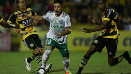 Nhận định soi kèo Tachira vs Palmeiras, 7h ngày 7/4