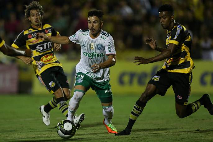 Nhận định soi kèo Tachira vs Palmeiras, 7h ngày 7/4