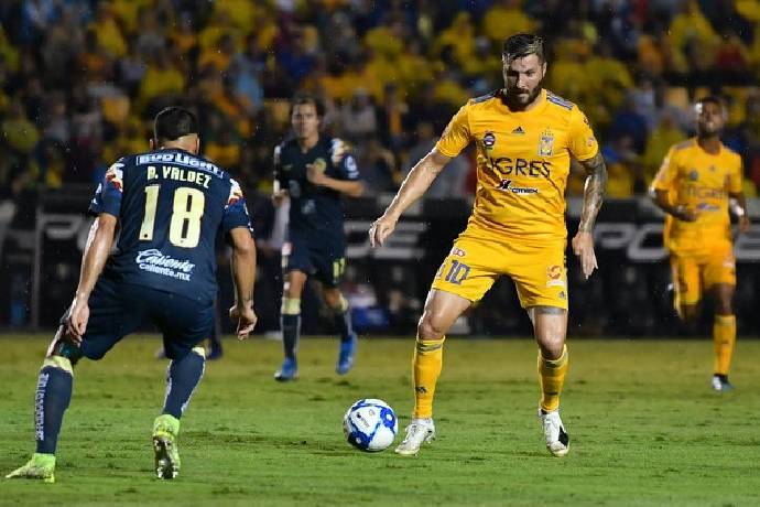 Nhận định kèo Tigres UANL vs Club América, 7h00 ngày 24/4