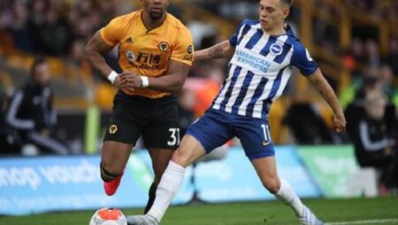 Nhận định kèo Wolves vs Brighton, 21h00 ngày 30/4