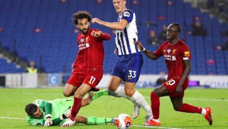 Soi bảng dự đoán tỷ số chính xác Brighton vs Liverpool, 19h30 ngày 12/3