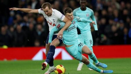 Soi bảng dự đoán tỷ số chính xác Tottenham vs Brighton, 18h30 ngày 16/4