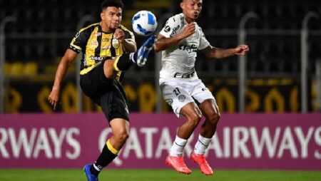 Nhận định kèo Deportivo Tachira vs Santos, 7h30 ngày 30/6 dự đoán Copa Sudamericana