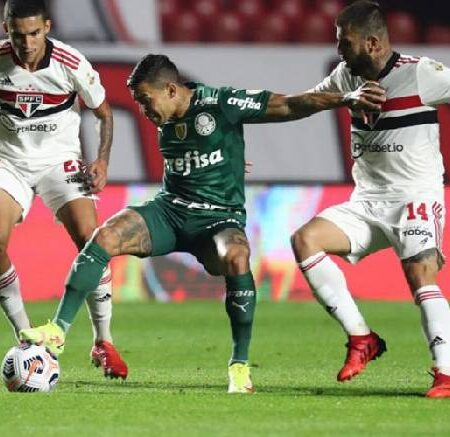 Nhận định kèo Avai vs Palmeiras 2h00 ngày 27/6 dự đoán giải VĐQG Brazil