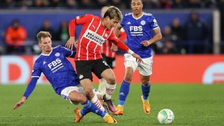 Tiên tri mèo Cass dự đoán PSV vs Leicester, 23h45 ngày 14/4