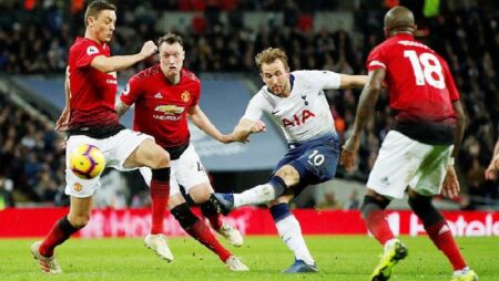 Tiên tri mèo dự đoán MU vs Tottenham, 0h30 ngày 13/3