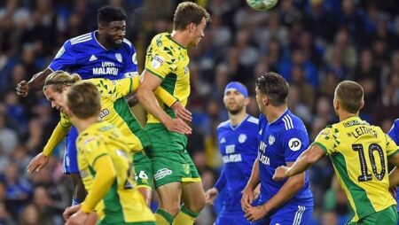 Nhận định kèo Cardiff vs Norwich, 21h00 ngày 30/7