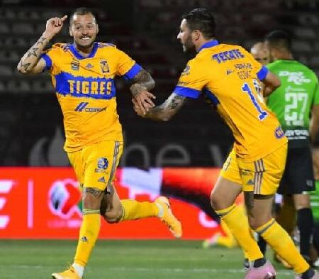 Nhận định kèo Tigres UANL vs Tijuana, 7h ngày 18/7