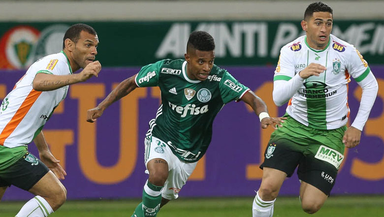 Nhận định kèo America MG vs Palmeiras, 6h00 ngày 22/7 dự đoán VĐQG Brazil