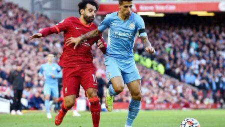 Tiên tri mèo Cass dự đoán Liverpool vs Man City, 23h ngày 30/7