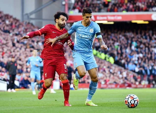 Tiên tri mèo Cass dự đoán Liverpool vs Man City, 23h ngày 30/7