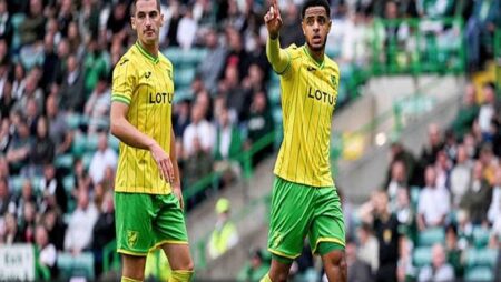 Tip kèo miễn phí chất lượng cao hôm nay ngày 30/07: Cardiff vs Norwich