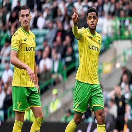 Tip kèo miễn phí chất lượng cao hôm nay ngày 30/07: Cardiff vs Norwich