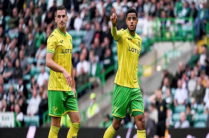 Tip kèo miễn phí chất lượng cao hôm nay ngày 30/07: Cardiff vs Norwich