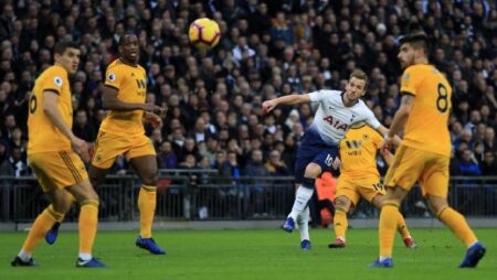 Đội hình dự kiến mạnh nhất Tottenham vs Wolves, 18h30 ngày 20/8