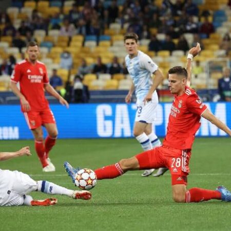 Joshua Ojele dự đoán Benfica vs Dinamo Kiev, 2h ngày 24/8