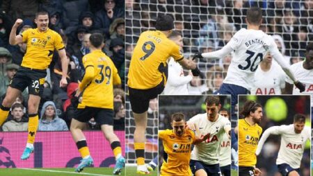 Lịch sử đối đầu Tottenham vs Wolves, 18h30 ngày 20/8