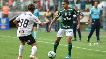 Nhận định kèo Atlético Mineiro vs Palmeiras, 7h30 ngày 4/8