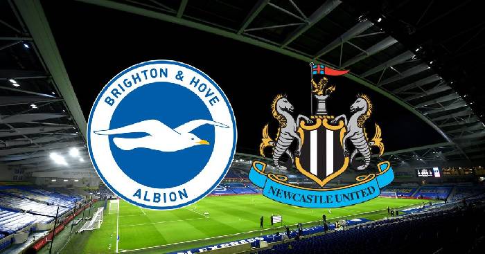 Nhận định kèo Brighton vs Newcastle, 21h ngày 13/8