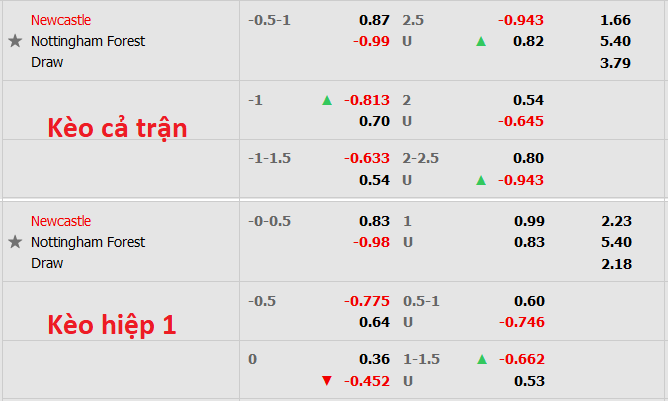 Nhận định, soi kèo Newcastle vs Nottingham Forest, 21h ngày 6/8 - Ảnh 5