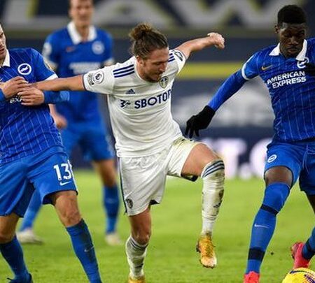 Nhận định kèo Brighton vs Leeds, 21h00 ngày 27/8 dự đoán Ngoại Hạng Anh