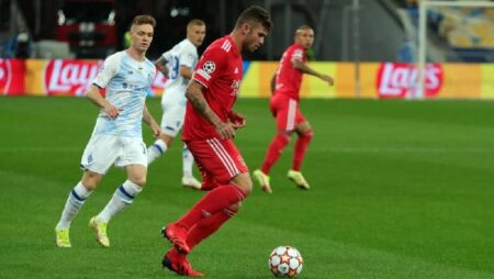 Nhận định kèo Dinamo Kiev vs Benfica, 2h00 ngày 18/8 dự đoán Cup C1 2022