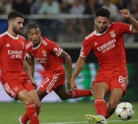 Nhận định kèo Benfica vs Maccabi Haifa, 2h00 ngày 7/9 dự đoán cúp C1 châu Âu