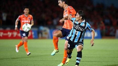 Soi kèo, dự đoán Macao Grulla Morioka vs Zweigen Kanazawa, 12h ngày 25/9