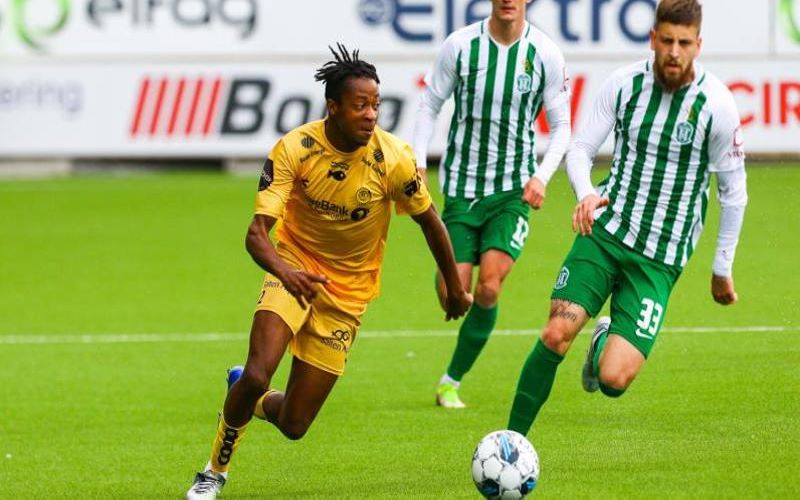 Nhận định kèo PSV vs Bodo Glimt, 23h45 ngày 8/9 dự đoán Cúp C2 Châu Âu