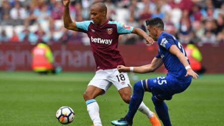 Tiên tri mèo Cass dự đoán Everton vs West Ham, 20h15 ngày 18/9