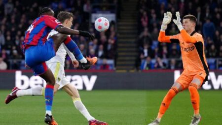 Biến động tỷ lệ kèo Crystal Palace vs Leeds, 20h ngày 9/10