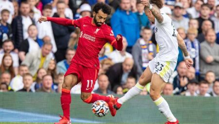 Biến động tỷ lệ kèo Liverpool vs Leeds, 1h45 ngày 30/10