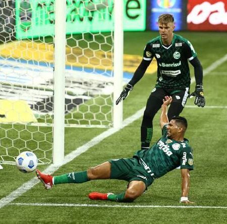 Nhận định kèo Palmeiras vs Avai, 7h ngày 23/10