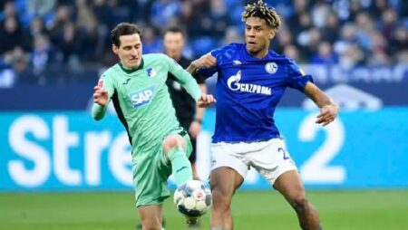 Nhận định kèo Schalke vs Hoffenheim, 1h30 ngày 15/10