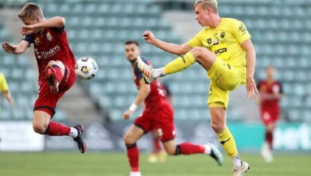 Nhận định kèo Wellington Phoenix vs Adelaide, 9h ngày 9/10