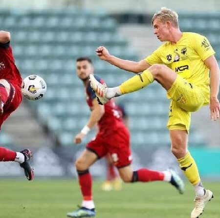 Nhận định kèo Wellington Phoenix vs Adelaide, 9h ngày 9/10