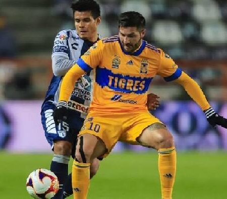 Phân tích kèo hiệp 1 Tigres UANL vs Pachuca, 9h06 ngày 14/10