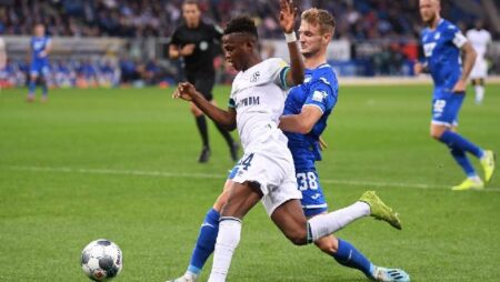 Nhận định kèo Schalke vs Hoffenheim, 1h30 ngày 15/10 dự đoán Bundesliga